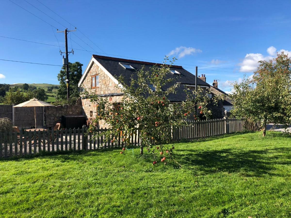 Vila Ty Gylfinir Llandegla Exteriér fotografie